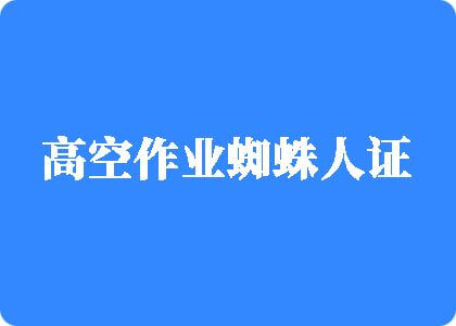 www搔逼高空作业蜘蛛人证